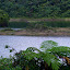 Fresh Water Lake