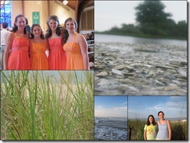 June 2011 review