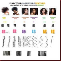 CHART%20copy(1) find your hair texture type
