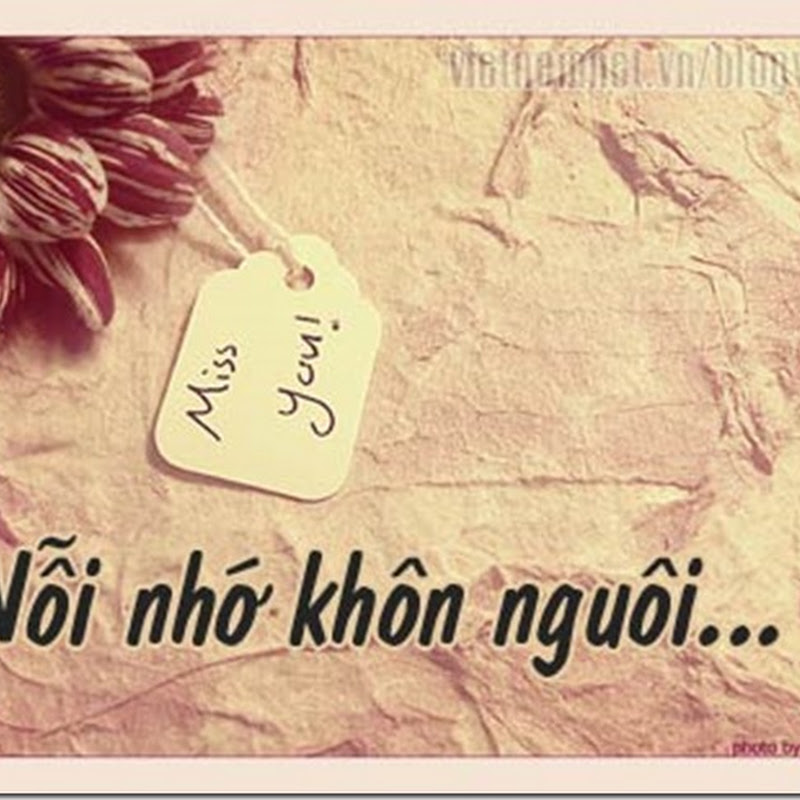 Mối tình đầu