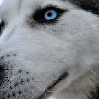 Yellowknife Project Day 12