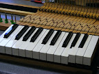 Bluthner style IV 1935 baby grand piano