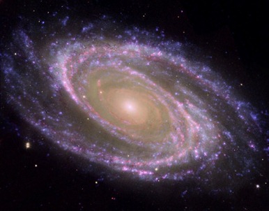 galáxia M81