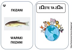 ΖΩ16 ΖΩ16