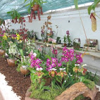 Jardim Bot&Atilde;&cent;nico da Ajuda
