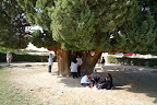 Iran Tour October 2009 Slideshow