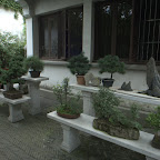 Pflanzen