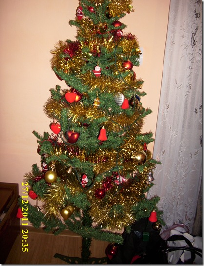 IMG_1754 IMG_1754