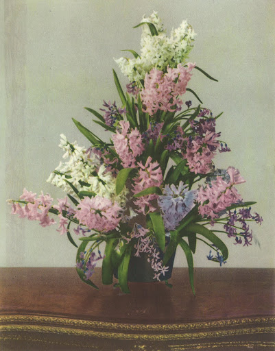 This beautiful selection of Dutch hyacinths is showcased in a three-tiered vase. There is an unmistakably dreamy quality thanks to the refreshing Cynthella hyacinths. This beautiful selection of Dutch hyacinths is showcased in a three-tiered vase. There is an unmistakably dreamy quality thanks to the refreshing Cynthella hyacinths.