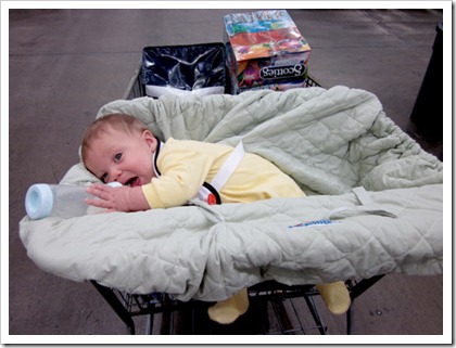 jolly jumper shopping cart cover