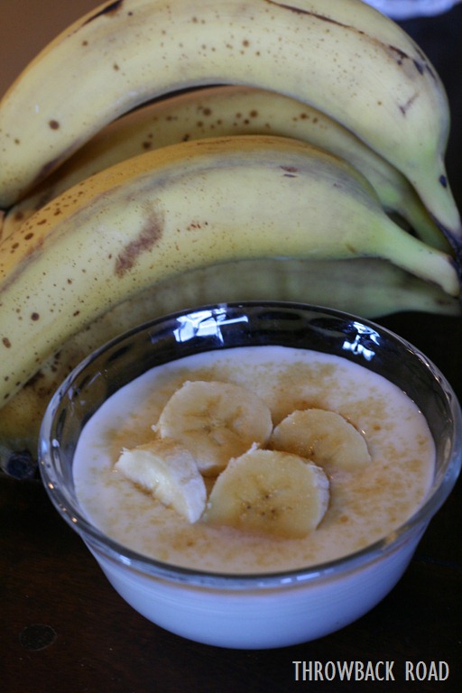 [yogurt-self-port-01912.jpg]