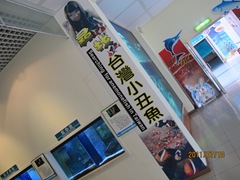 110710 150-台東成功 110710 150-台東成功
