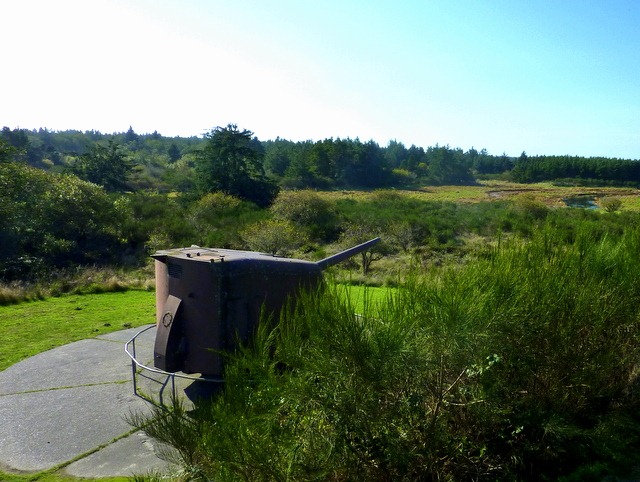 [P10202144.jpg]