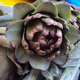 DSC01817.JPG
