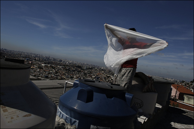 A man holds a mosquito net before placing it over a water container on the roof of his house in S&atilde;o Paulo on 11 February 2015. Photo: Reuters
