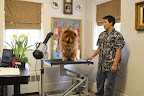 Hi, Leonardo!  It's been quite some time since my last appointment and I need your expert grooming skills.