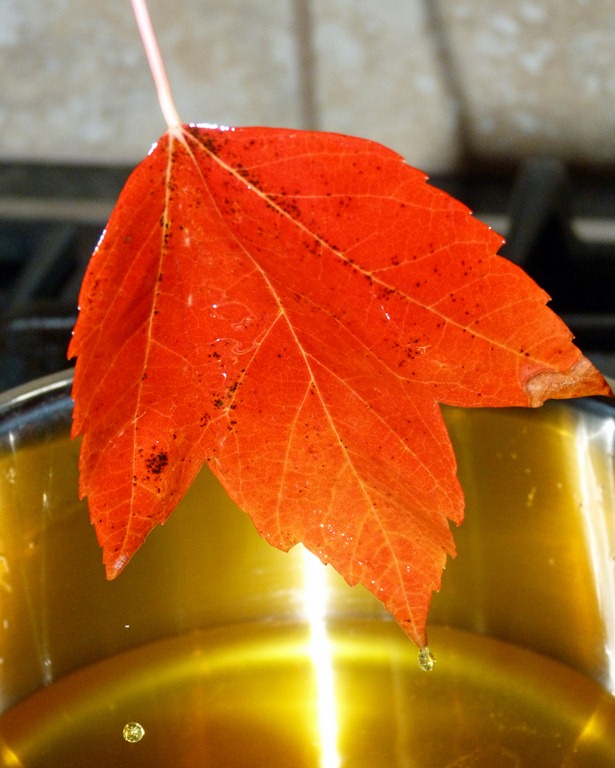 [Coating%2520Leaves%2520in%2520Beeswax%25203%255B4%255D.jpg]