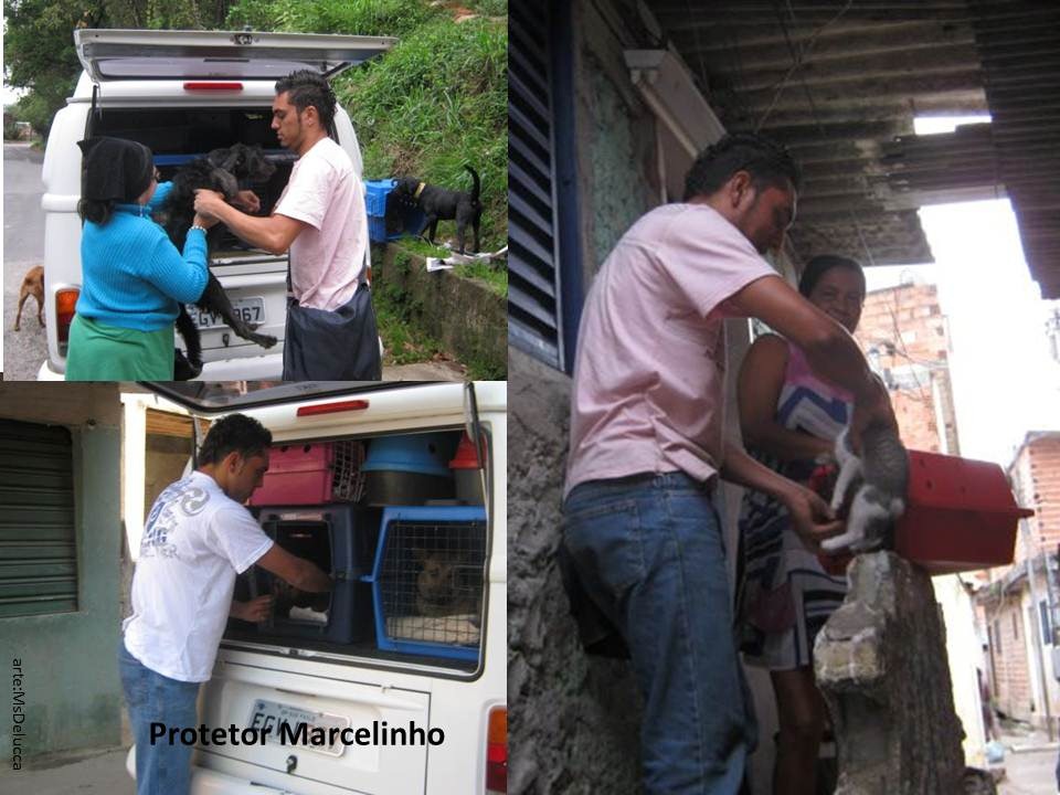 [marcelinho_protetor57.jpg]