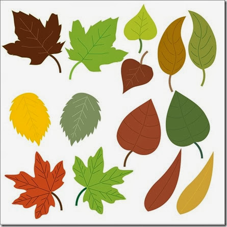 leaf-163609_640