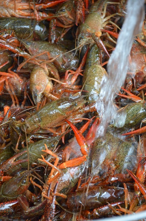 [DSC_7547%255B4%255D.jpg]