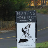 Guilford Salt Meadows Sanctuary Planting