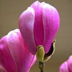 IMG_6207.jpg