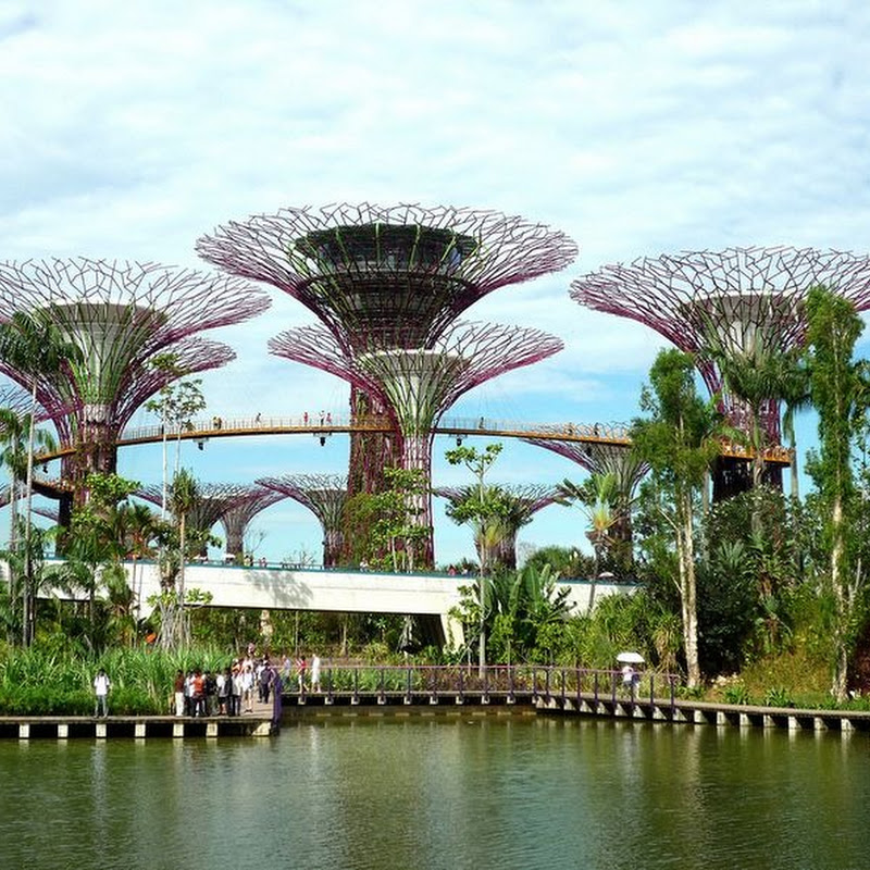 Supertree Grove at Gardens by the Bay, Singapore Amusing