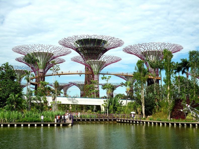 supertrees-singapore-9