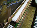 Ernst Kaps Upright