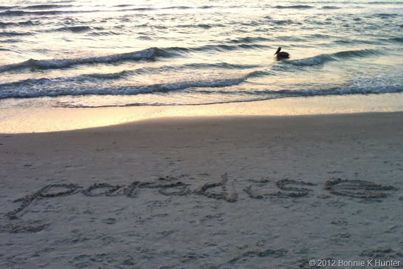 [FtMyersFL2012%2520219%255B6%255D.jpg]