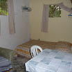 P1010667.jpg