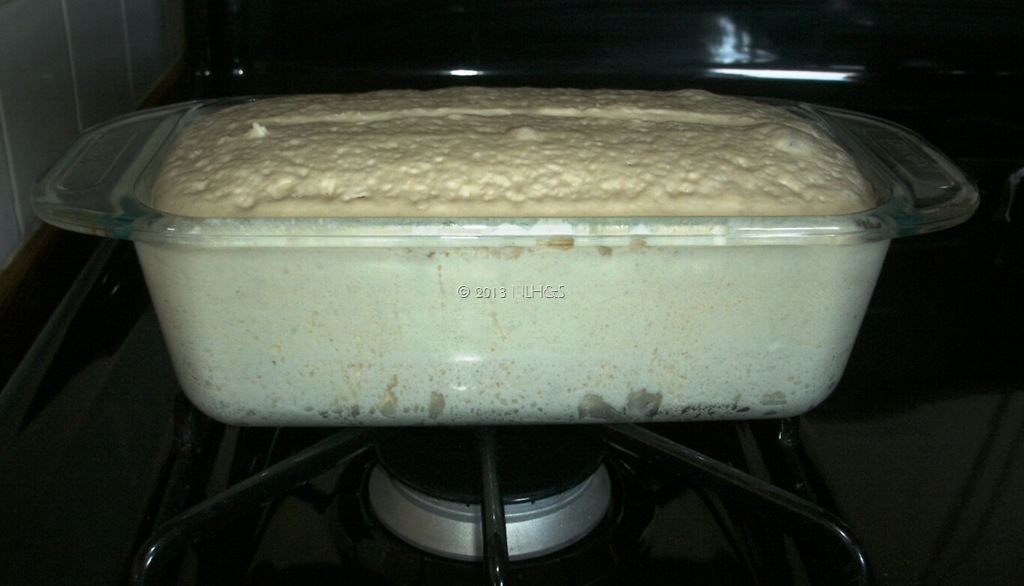 [GEDC05735.jpg]
