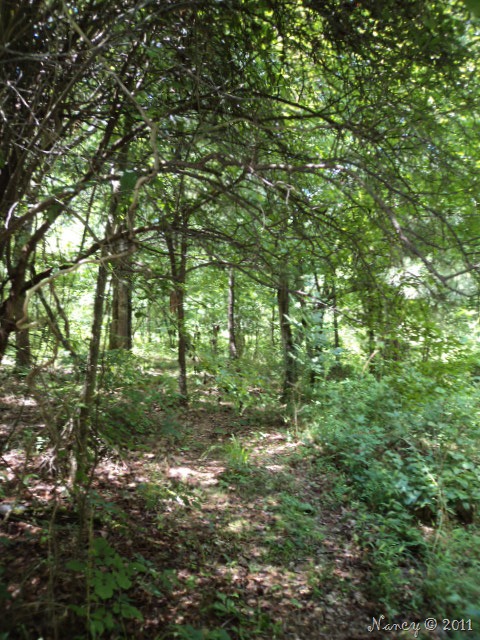 [DSC0242310.jpg]