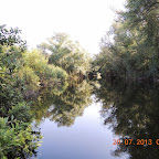 DSCN4473.JPG