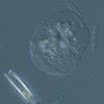 SNAP-215448-0046.jpg