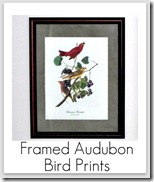framed bird prints