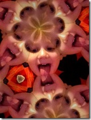 IMG_0004 IMG_0004