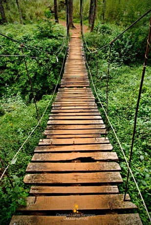 One of the Many Bridges along Baguio's Eco Trail