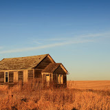 "Uneasy" - copyright Dawn Olsen