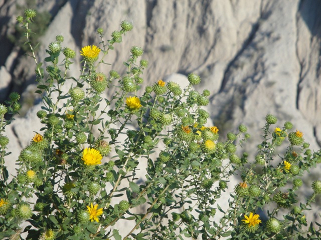 [DSC020853.jpg]