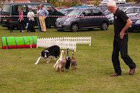 Kineton Quackers
