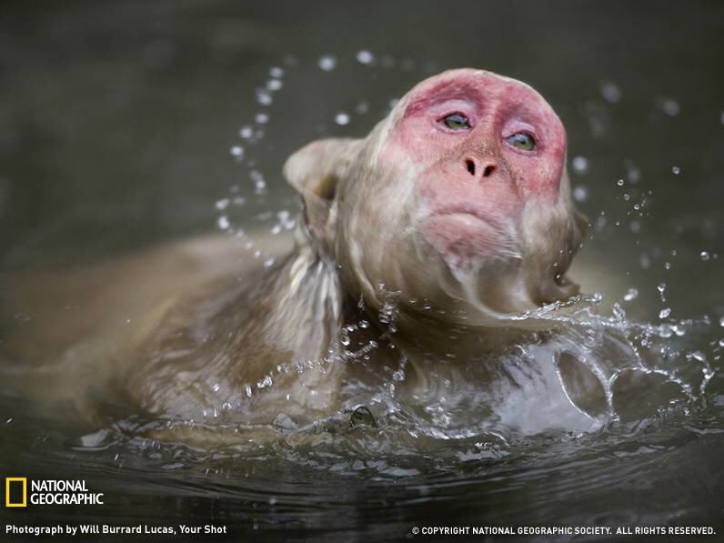 PHOTOS FROM NATIONAL GEOGRAPHIC