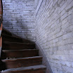 IMG 5619
