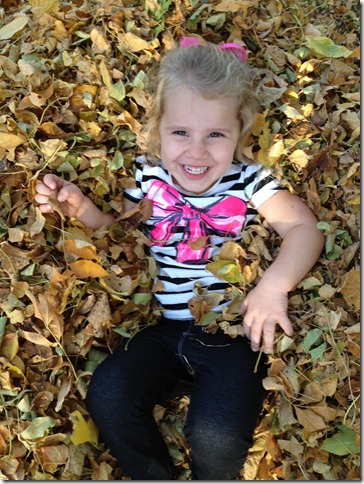 fall2012 196