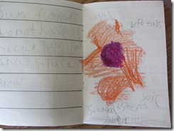 IMG_0655 IMG_0655