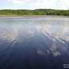 dsc02985.jpg