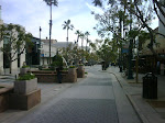 IMG00612-20100129-1156.jpg