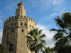 Palmen und Turm
