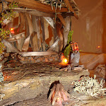 1459-4.JPG