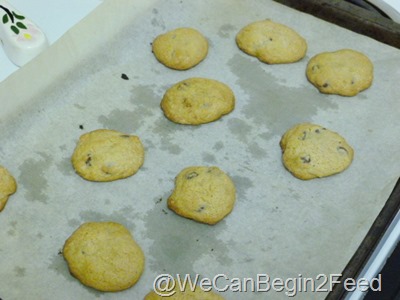 Apr 30 GF chocolate chip cookies 002